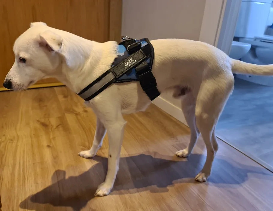 Dog Harness Vest ID Patch Customized Reflective Breathable Adjustable Pet Harness For Dog NO PULL Pet Outdoor Harness