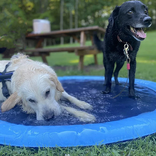 100/150/200cm Inflatable Sprinkler Pad Dog Splash Pool Outdoor Water Play Mat Pet Bathing Pad Summer Fun Cooling Toy for Dogs